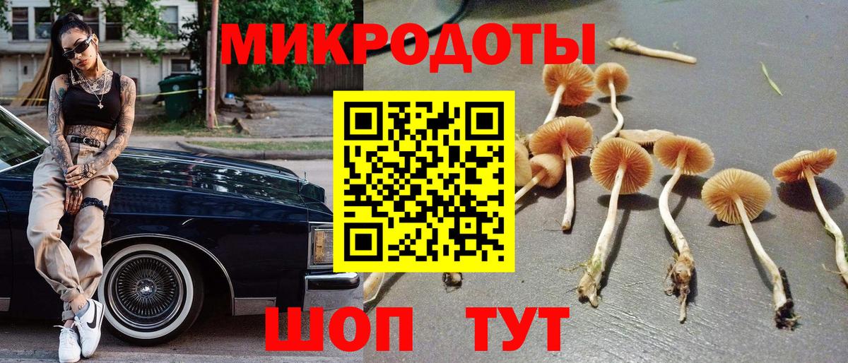 Саяногорск  Галлюциногенные грибы Cubensis  где продают наркотики  Вход с VPN 